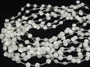 [Video] Mother of Pearl MOP AAA White Rose 8mm half or 1strand Beads (approx. 15 inches/36 cm)