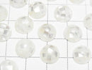 [Video] Mosaic Shell Round Cabochon 10x10mm [White] 3pcs