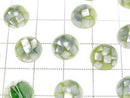 [Video] Mosaic Shell Round Cabochon 10x10mm [Green] 3pcs