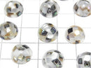 [Video] Mosaic Shell Round Cabochon 12x12mm [White x Abalone Shell] 3pcs