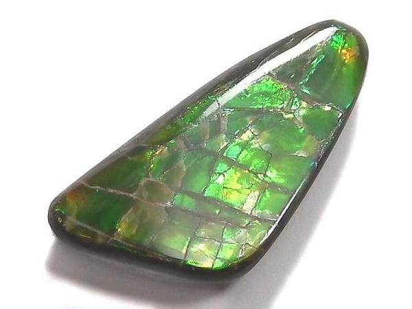 [Video][One of a kind] Ammolite AAA- Loose stone 1pc NO.6