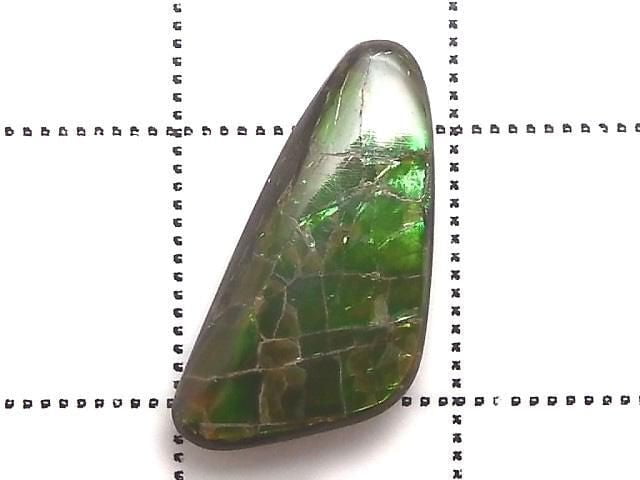 [Video][One of a kind] Ammolite AAA- Loose stone 1pc NO.6