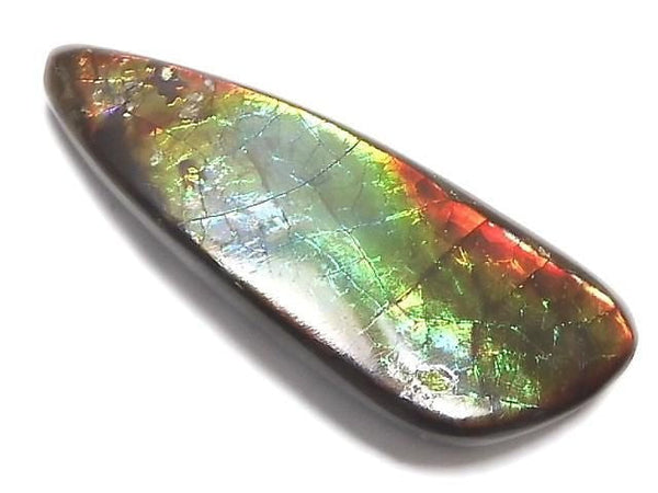 [Video][One of a kind] Ammolite AAA- Loose stone 1pc NO.7