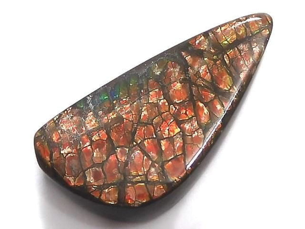 [Video][One of a kind] Ammolite AAA- Loose stone 1pc NO.8