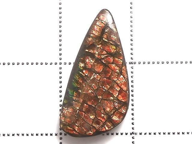 [Video][One of a kind] Ammolite AAA- Loose stone 1pc NO.8