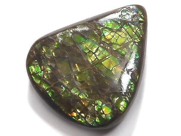[Video][One of a kind] Ammolite AAA- Loose stone 1pc NO.10