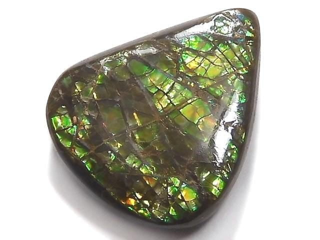 [Video][One of a kind] Ammolite AAA- Loose stone 1pc NO.10