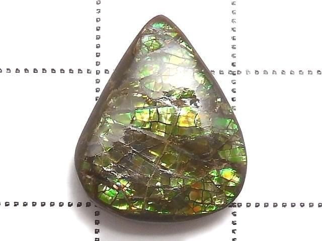 [Video][One of a kind] Ammolite AAA- Loose stone 1pc NO.10
