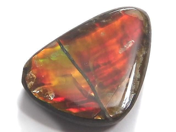 [Video][One of a kind] Ammolite AAA- Loose stone 1pc NO.11