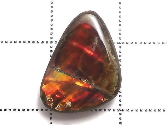 [Video][One of a kind] Ammolite AAA- Loose stone 1pc NO.11