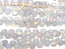 [Video] Ethiopian Purple Opal Onion (Smooth) half or 1 strand (18cm)