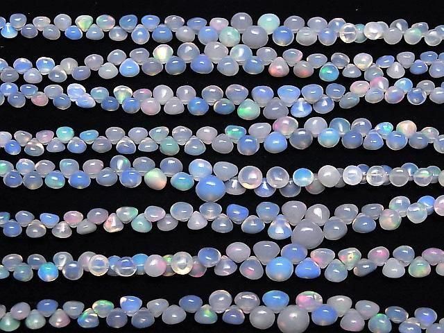 [Video] Ethiopian Purple Opal Onion (Smooth) half or 1 strand (18cm)