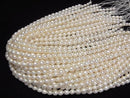 [Video] Fresh Water Pearl AA++ Rice 7x6x6mm White 1strand beads (approx. 15 inches/36 cm)