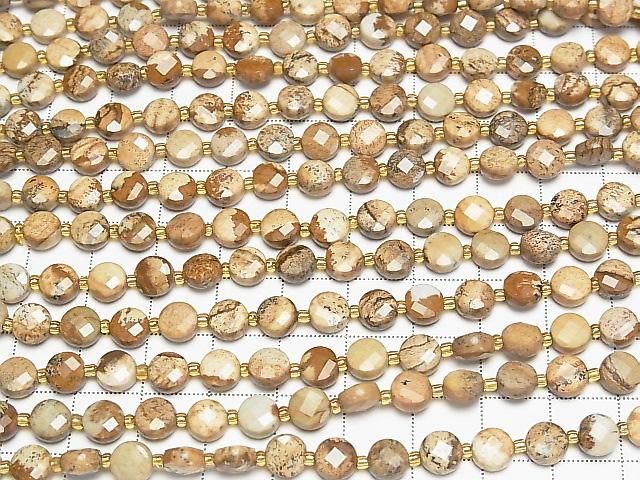 [Video] High Quality! Picture Jasper Faceted Coin 6x6x4mm 1strand beads (approx. 15 inches/37 cm)