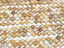 [Video]High Quality! Fossil Coral Faceted Coin 6x6x4mm 1strand beads (aprx.15inch/37cm)