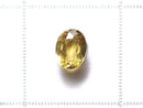 [Video][One of a kind] High Quality Chondrodite Loose stone Faceted 1pc NO.16