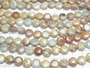 [Video] Impression Jasper Coin 10x10mm 1strand beads (approx. 15 inches/38 cm)