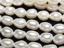 [Video] Fresh Water Pearl AA+ Rice-Baroque 7x6x6mm White 1strand beads (approx. 15 inches/37 cm)