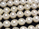 [Video] Japanese Akoya Pearls AA++ Semi Round 6.5mm White Half or 1strand beads (approx. 15 inches/38 cm)