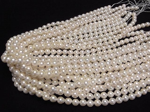 [Video] Japanese Akoya Pearls AA++ Semi Round 6.5mm White Half or 1strand beads (approx. 15 inches/38 cm)