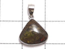 [Video][One of a kind] High Quality Ammolite AAA- Pendant Silver925 NO.1