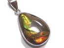 [Video][One of a kind] High Quality Ammolite AAA- Pendant Silver925 NO.3