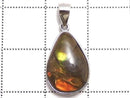 [Video][One of a kind] High Quality Ammolite AAA- Pendant Silver925 NO.3