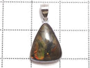 [Video][One of a kind] High Quality Ammolite AAA- Pendant Silver925 NO.4