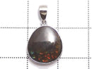 [Video][One of a kind] High Quality Ammolite AAA- Pendant Silver925 NO.6
