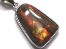 [Video][One of a kind] High Quality Ammolite AAA- Pendant Silver925 NO.8