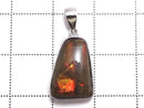 [Video][One of a kind] High Quality Ammolite AAA- Pendant Silver925 NO.8