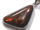 [Video][One of a kind] High Quality Ammolite AAA- Pendant Silver925 NO.9