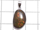 [Video][One of a kind] High Quality Ammolite AAA- Pendant Silver925 NO.11