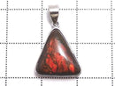 [Video][One of a kind] High Quality Ammolite AAA- Pendant Silver925 NO.12
