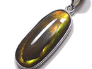 [Video][One of a kind] High Quality Ammolite AAA- Pendant Silver925 NO.13