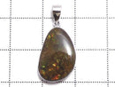 [Video][One of a kind] High Quality Ammolite AAA- Pendant Silver925 NO.15