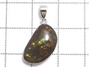 [Video][One of a kind] High Quality Ammolite AAA- Pendant Silver925 NO.16