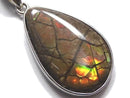 [Video][One of a kind] High Quality Ammolite AAA- Pendant Silver925 NO.17