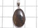 [Video][One of a kind] High Quality Ammolite AAA- Pendant Silver925 NO.18