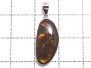[Video][One of a kind] High Quality Ammolite AAA- Pendant Silver925 NO.19