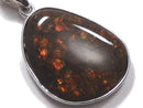 [Video][One of a kind] High Quality Ammolite AAA- Pendant Silver925 NO.20
