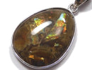 [Video][One of a kind] High Quality Ammolite AAA- Pendant Silver925 NO.23