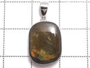 [Video][One of a kind] High Quality Ammolite AAA- Pendant Silver925 NO.25