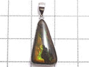 [Video][One of a kind] High Quality Ammolite AAA- Pendant Silver925 NO.26