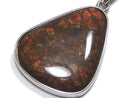 [Video][One of a kind] High Quality Ammolite AAA- Pendant Silver925 NO.27