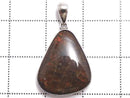 [Video][One of a kind] High Quality Ammolite AAA- Pendant Silver925 NO.27