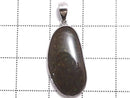 [Video][One of a kind] High Quality Ammolite AAA- Pendant Silver925 NO.28