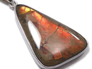 [Video][One of a kind] High Quality Ammolite AAA- Pendant Silver925 NO.29