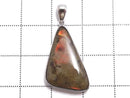 [Video][One of a kind] High Quality Ammolite AAA- Pendant Silver925 NO.29