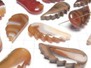 [Video] Carnelian, Sardonyx Angel Wing 44x20mm 2pcs